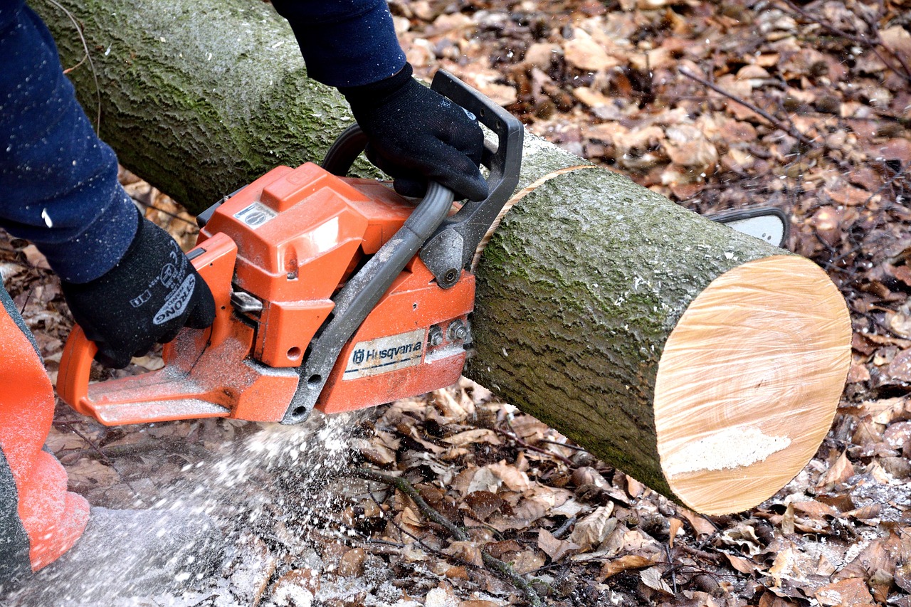 Tree cutting and debris hauling services in Alabama